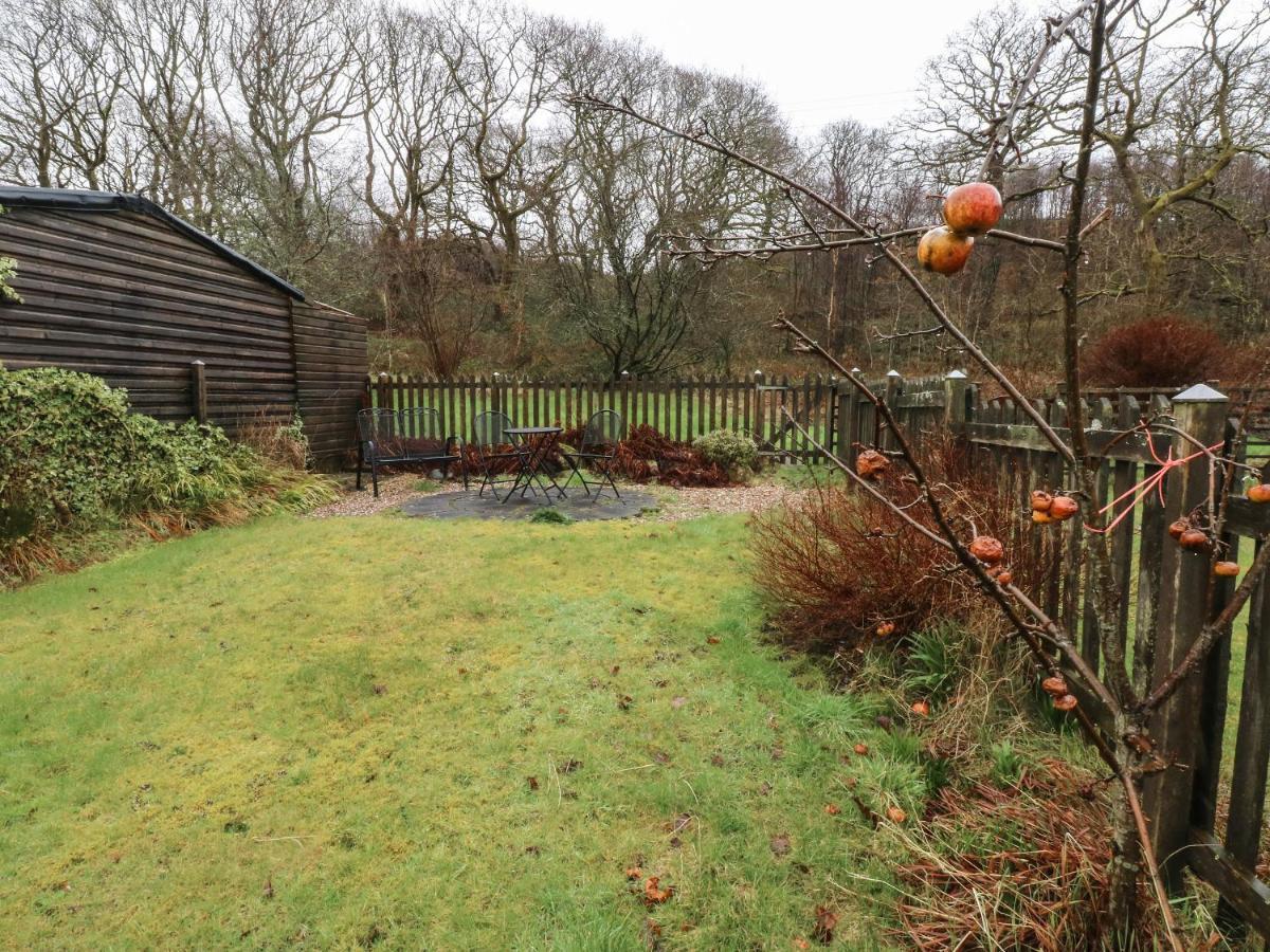 Brook Cottage 斯旺西 外观 照片